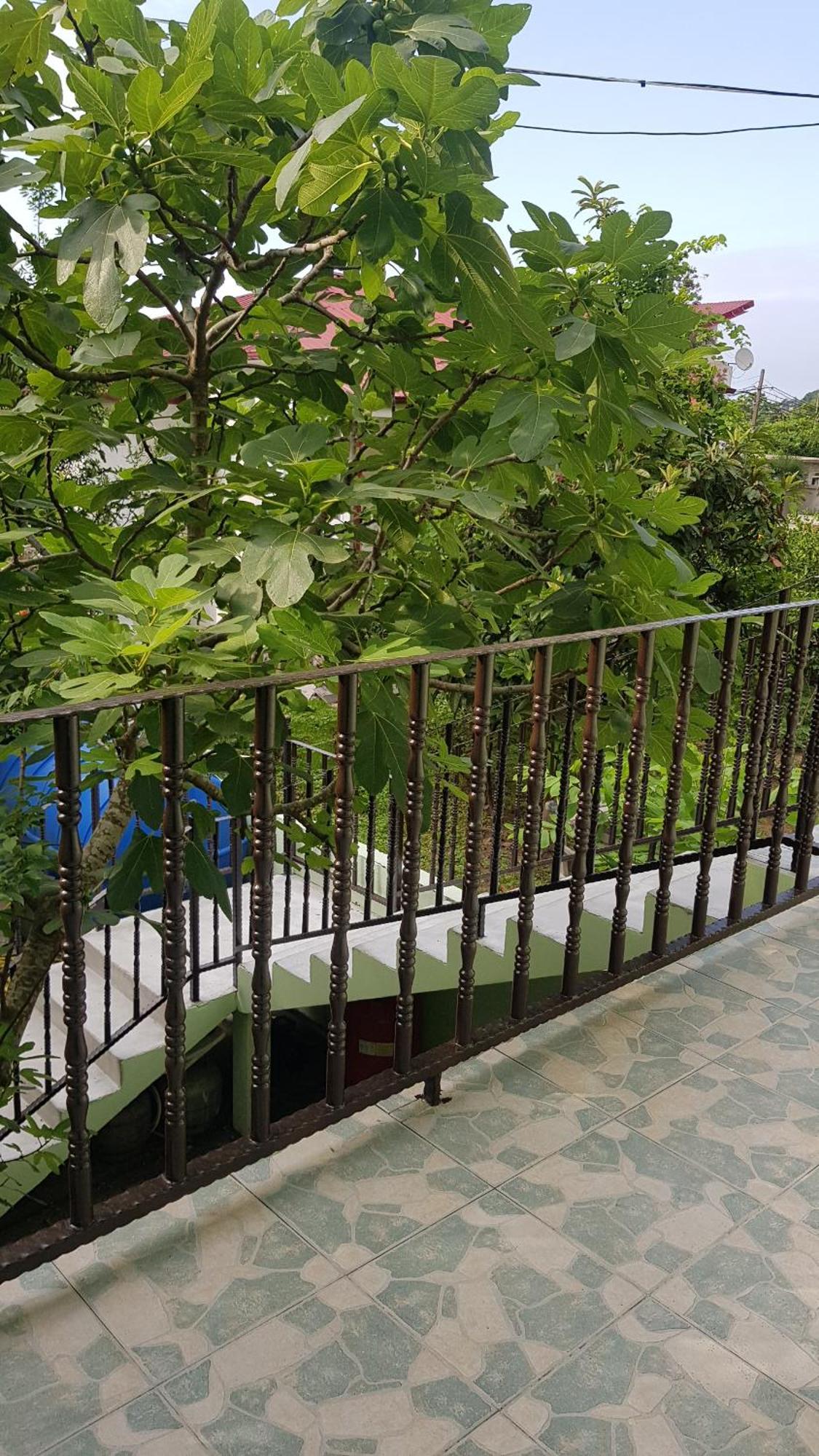 Hotel Captain Gonio Exterior photo