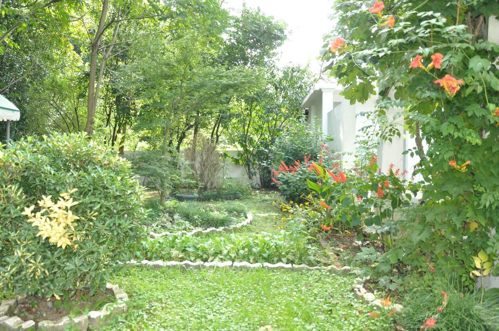 Hotel Captain Gonio Exterior photo